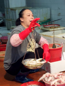 Hong Kong Shenzhen Shopping Tours